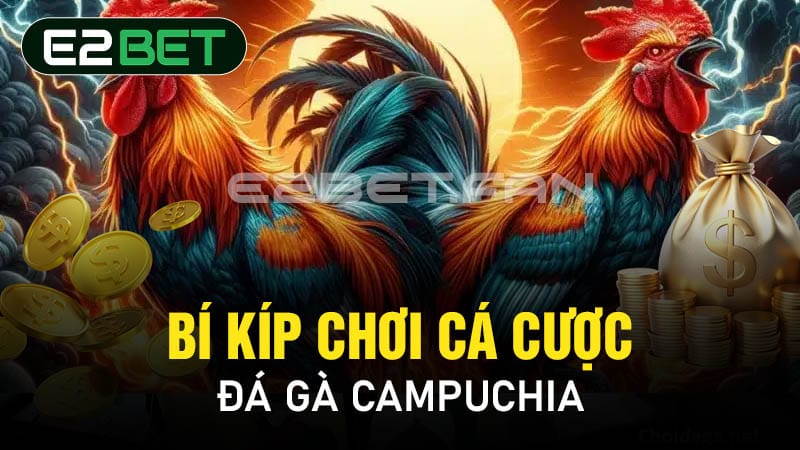 Bí kíp chơi cá cược đá gà Campuchia 