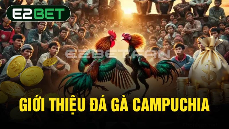 Giới thiệu đá gà Campuchia