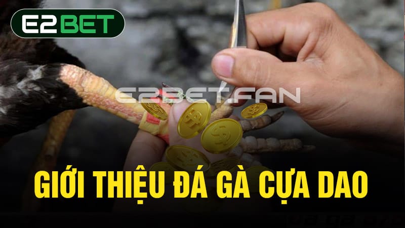 Giới thiệu đá gà cựa dao