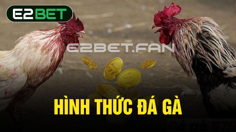 Hình thức đá gà 