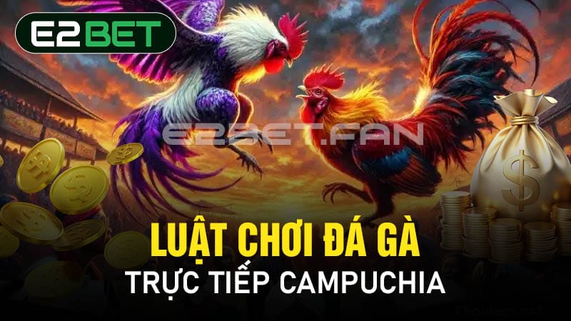 Luật chơi đá gà trực tiếp Campuchia