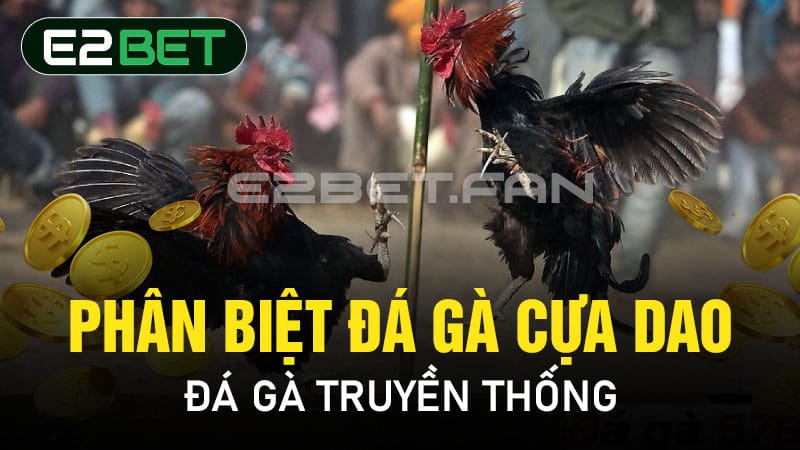 Phân biệt đá gà cựa dao - đá gà truyền thống